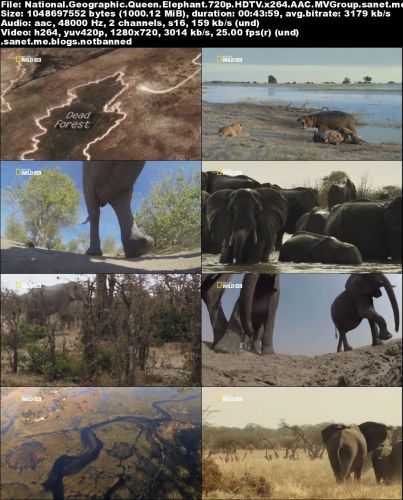 National Geographic - Queen Elephant (2014) 720p HDTV x264-MVGroup