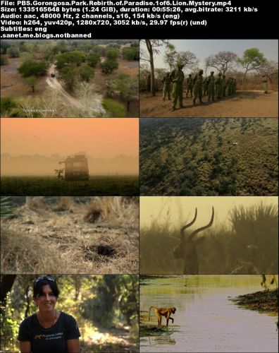 PBS - Gorongosa Park: Rebirth of Paradise (2015) 720p HDTV x264-MVGroup