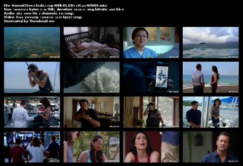 Hawaii Five-0 S06E03 720p WEB-DL DD5 1 H 264-KiNGS