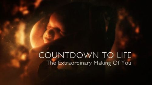 BBC - Countdown to Life: The Extraordinary Making of You (2015) 720p HDTV x264-MVGroup