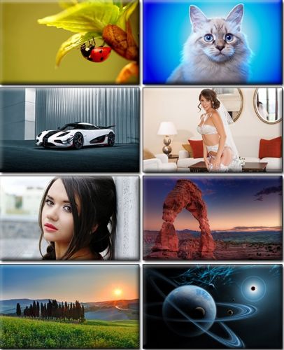 Computer Desktop Wallpapers Collection. Part (1345)