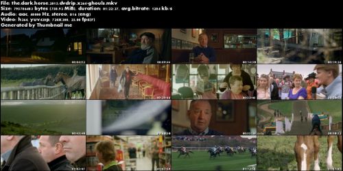 The Dark Horse 2015 DVDRip x264