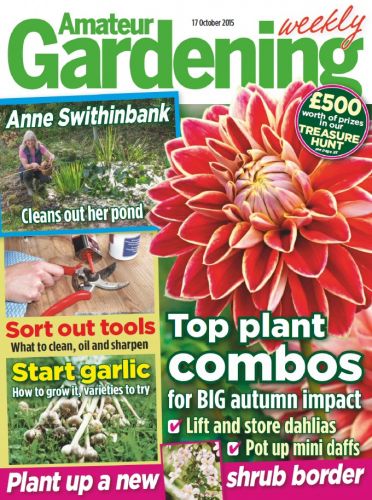 Amateur Gardening – 17 October 2015