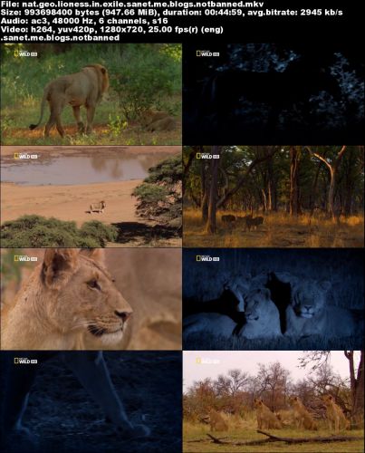 National Geographic - Lioness in Exile (2015) 720p HDTV x264-SQUEAK