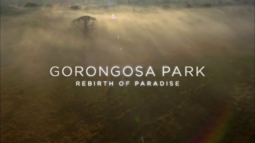 PBS - Gorongosa Park: Rebirth of Paradise (2015) 720p HDTV x264-MVGroup