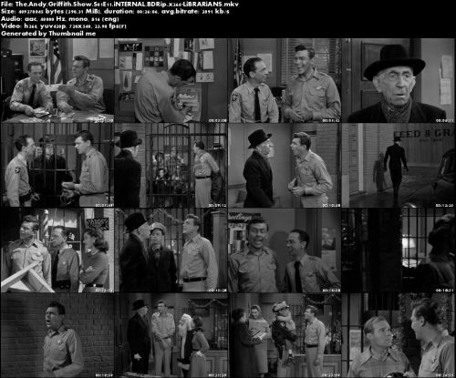 The Andy Griffith Show S01E11 iNTERNAL BDRip x264-LiBRARiANS 