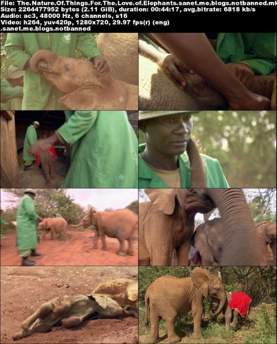 CBC - The Nature of Things: For the Love of Elephants (2010) 720p HDTV x264-aAF