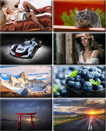 Computer Desktop Wallpapers Collection. Part (1348)