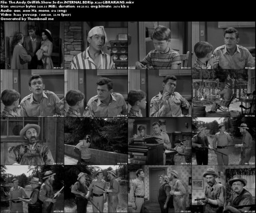 The Andy Griffith Show S01E09 iNTERNAL BDRip x264-LiBRARiANS