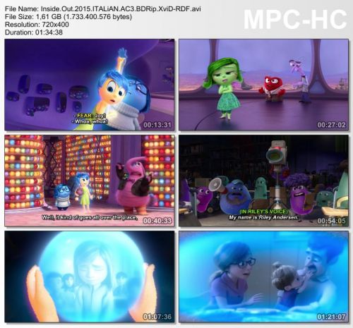Inside Out (2015) BDRip AC3 iTALiAN