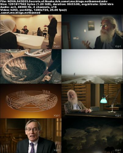 PBS - NOVA: Secrets of Noah's Ark (2015) 720p HDTV x264-DHD