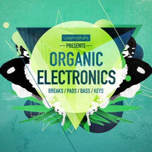 Loopmasters Organic Electronics MULTiFORMAT-AUDIOSTRiKE