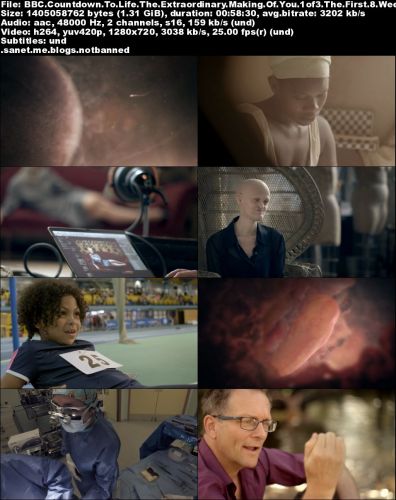 BBC - Countdown to Life: The Extraordinary Making of You (2015) 720p HDTV x264-MVGroup