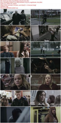 Stuk 2014 DVDrip x264 AC3-KG