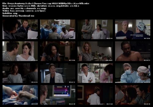Greys Anatomy S12E03 I Choose You 720p HULU WEBRip DD5 1 H 264-NTb