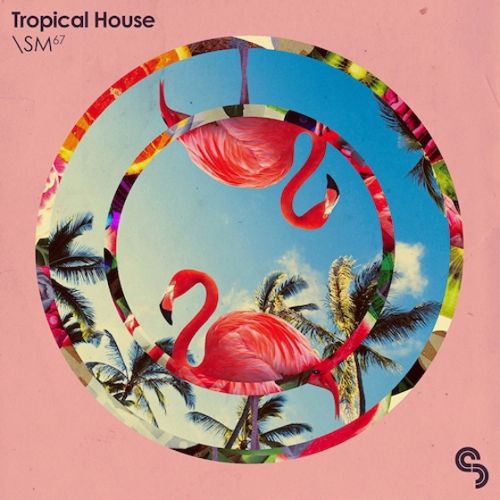 SM Tropical House MULTiFORMAT-AUDIOSTRiKE