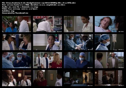 Greys Anatomy S12E01 Sledgehammer 720p HULU WEBRip DD5 1 H 264-NTb