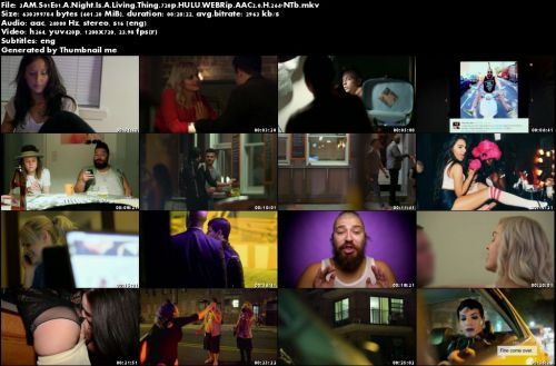 3AM S01E01 A Night Is A Living Thing 720p HULU WEBRip AAC2 0 H 264-NTb