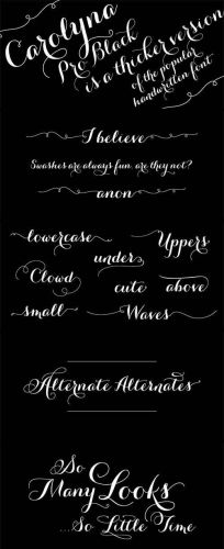 Carolyna+Pro+Black+Font