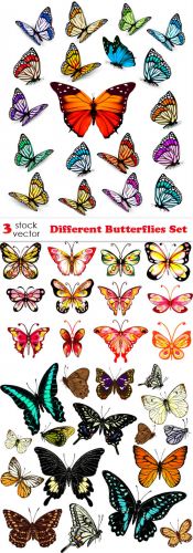 Vectors+-+Different+Butterflies+Set
