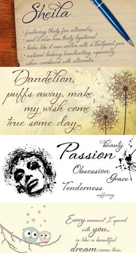 Sheila+Font+Family