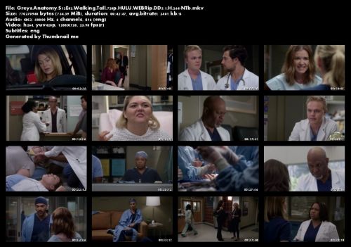 Greys Anatomy S12E02 Walking Tall 720p HULU WEBRip DD5 1 H 264-NTb