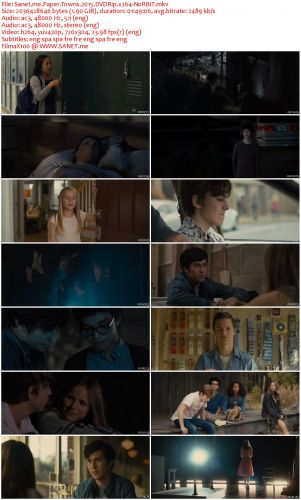 Paper Towns 2015 DVDRip x264-NoRBiT