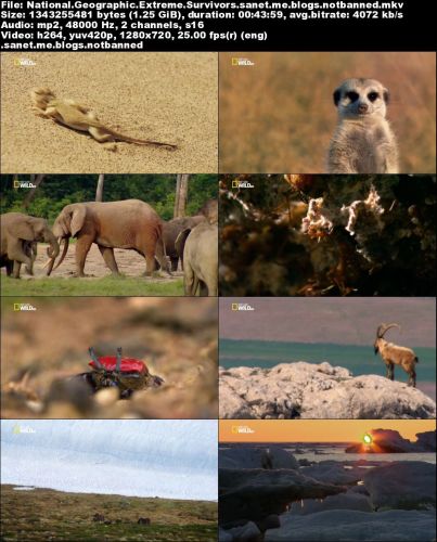 National Geographic - Extreme Survivors (2015) 720p HDTV x264-CBFM