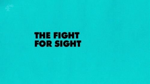 Channel 4 - Unreported World: The Fight for Sight (2015) 720p HDTV x264-MVGroup