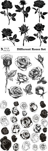 Vectors+-+Different+Roses+Set