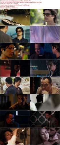 Zero Tolerance 2015 NORDiC 1080p WEB-DL x264-DAWGS