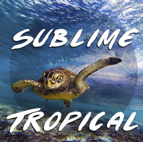 Hyperion Sublime Tropical For Ni MASSiVE NSMV-DISCOVER