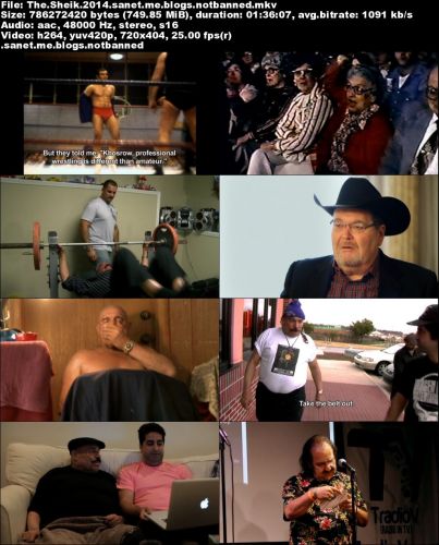 The Sheik (2014) FESTiVAL DVDRiP X264-TASTE