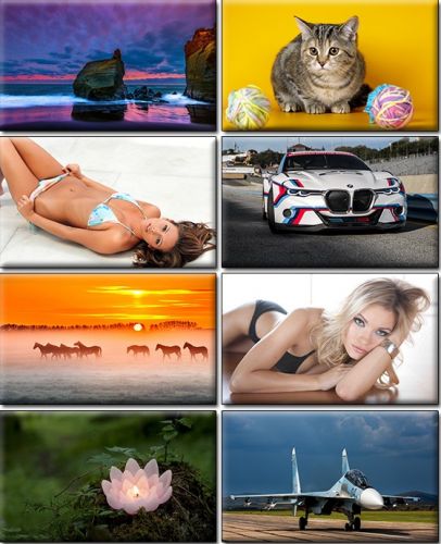 Computer Desktop Wallpapers Collection. Part (1344)