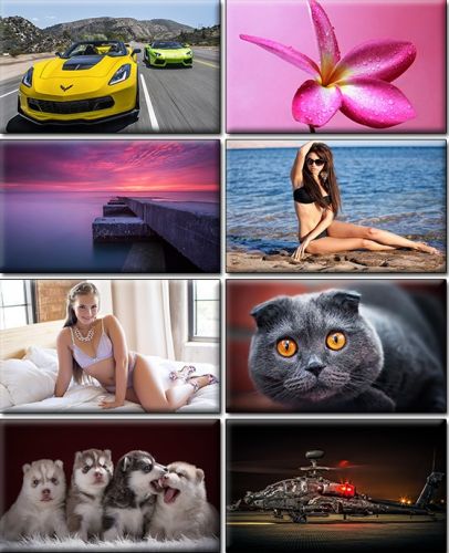 Computer Desktop Wallpapers Collection. Part (1355)