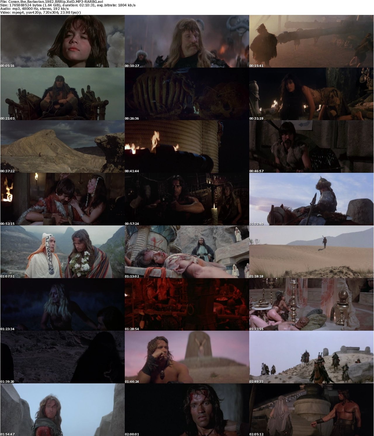 Conan the Barbarian 1982 BRRip XviD MP3-RARBG