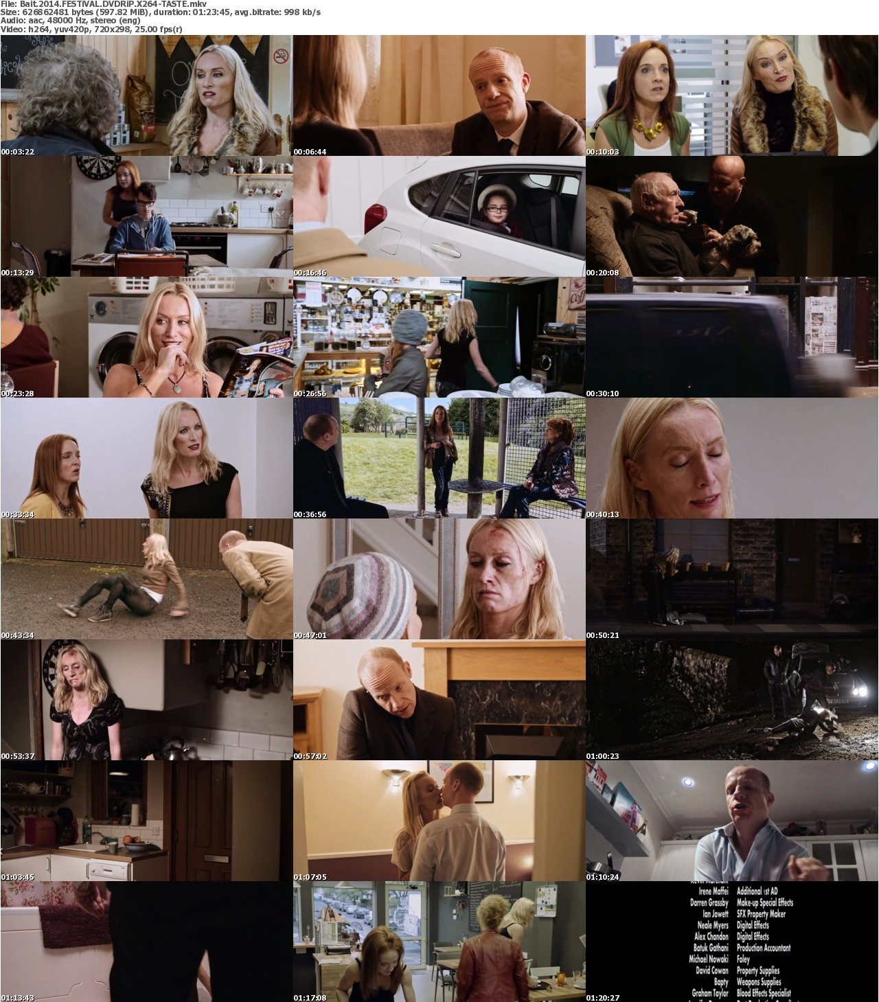 Bait 2014 FESTiVAL DVDRiP X264-TASTE