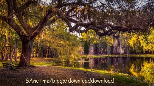 How to get the right shot in Photography