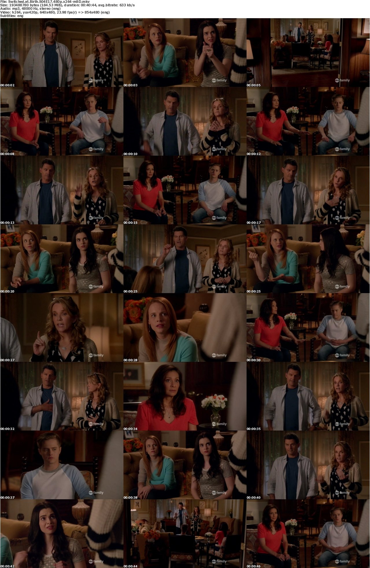 Switched at Birth S04E17 480p x264-mSD