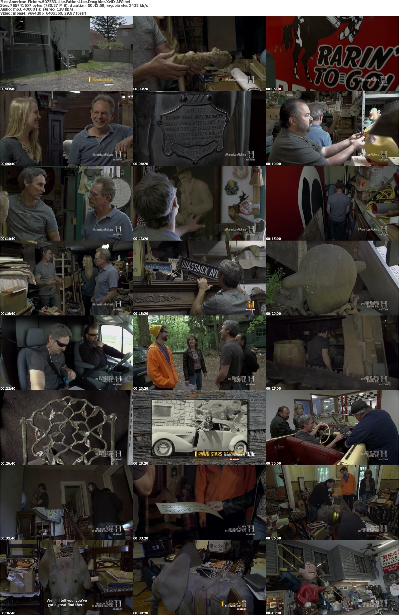 American Pickers S07E33 Like Father Like Daughter XviD-AFG