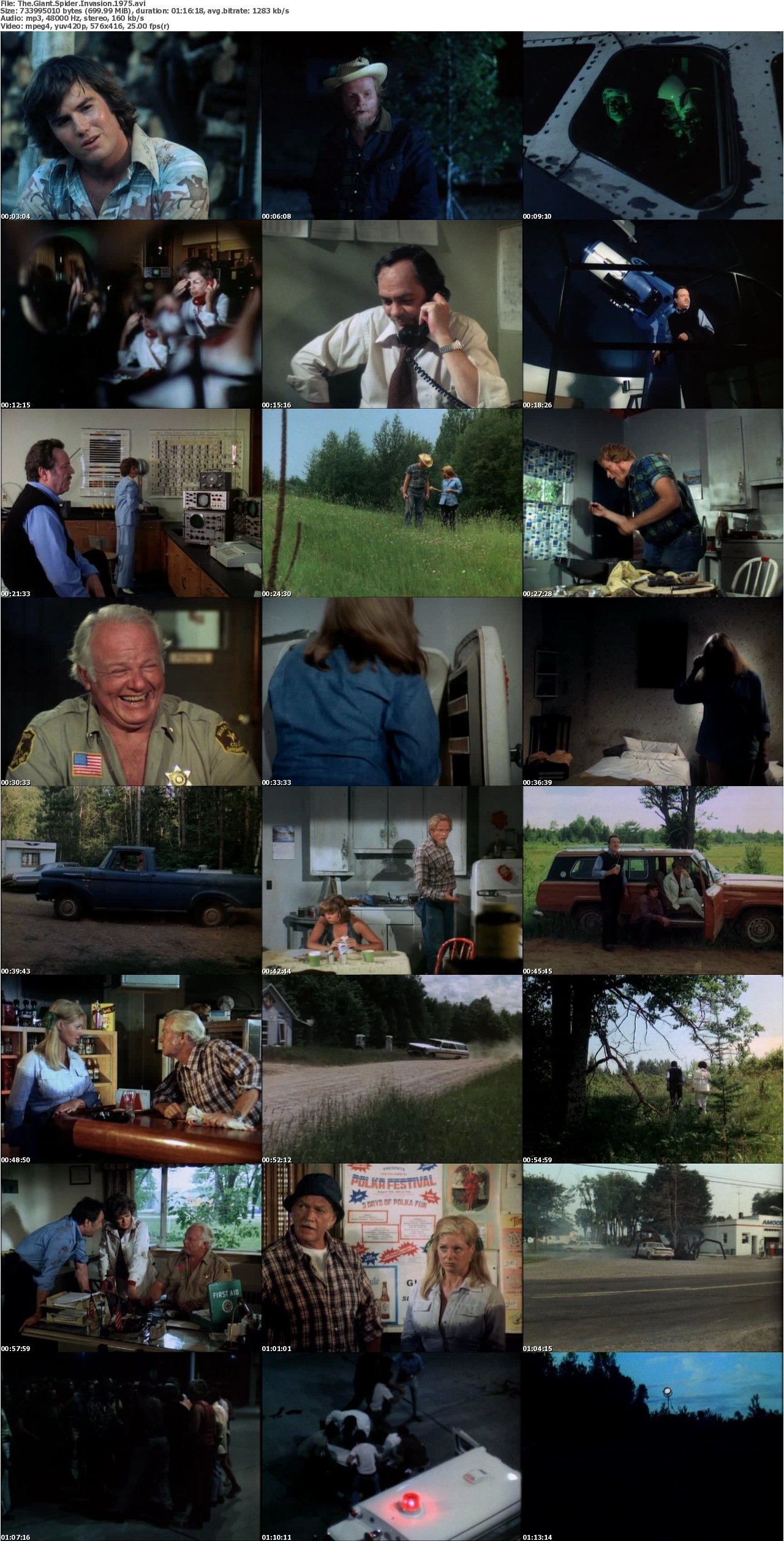 The Giant Spider Invasion (1975)