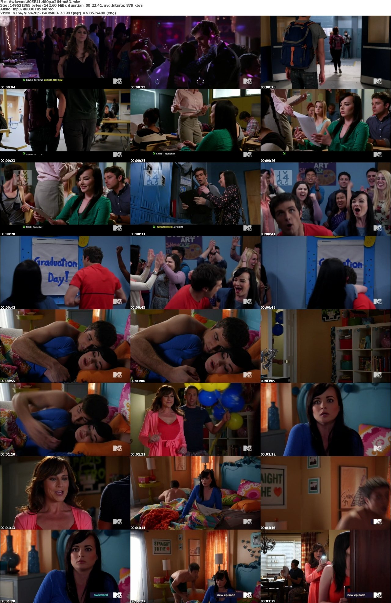 Awkward S05E11 480p x264-mSD