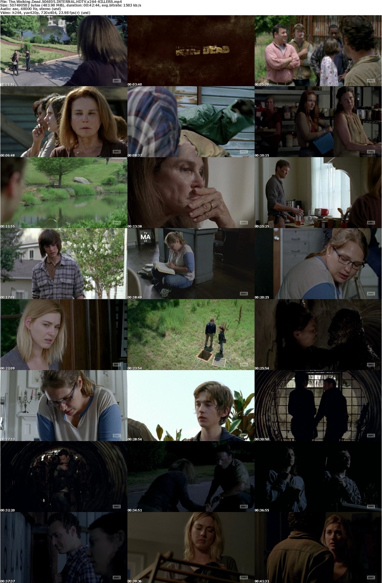 The Walking Dead S06E05 INTERNAL HDTV x264-KILLERS