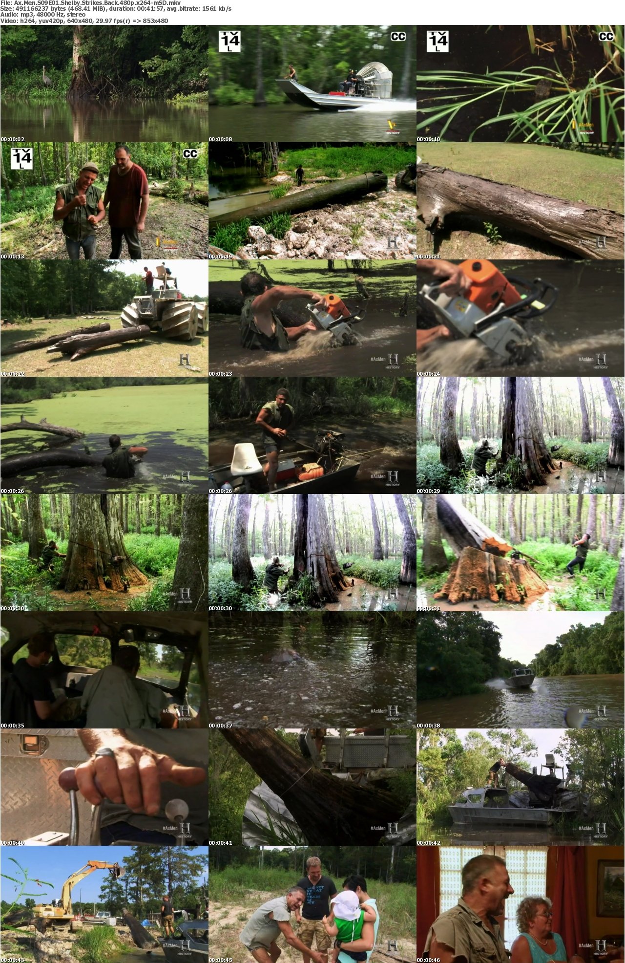 Ax Men S09E01 Shelby Strikes Back 480p x264-mSD