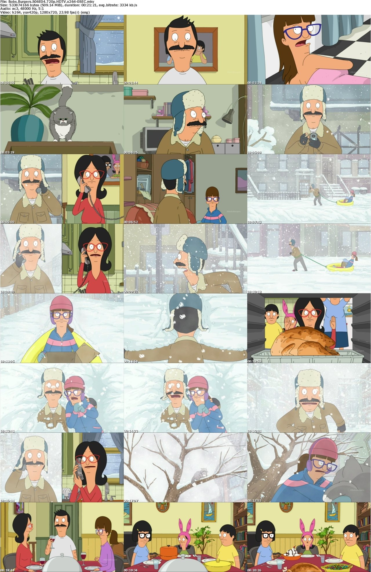 Bobs Burgers S06E04 720p HDTV x264-0SEC