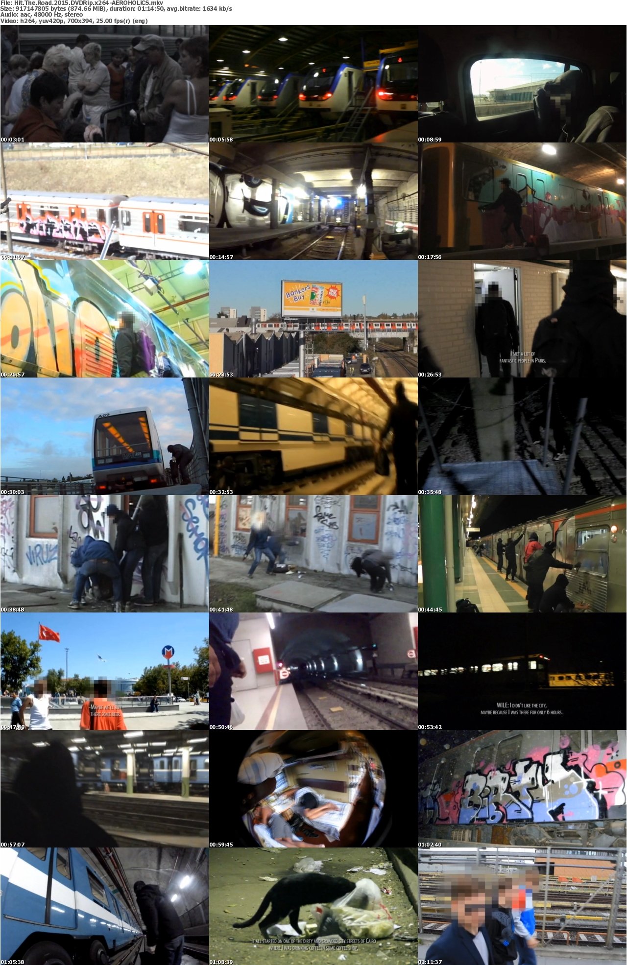 Hit The Road 2015 DVDRip x264-AEROHOLiCS