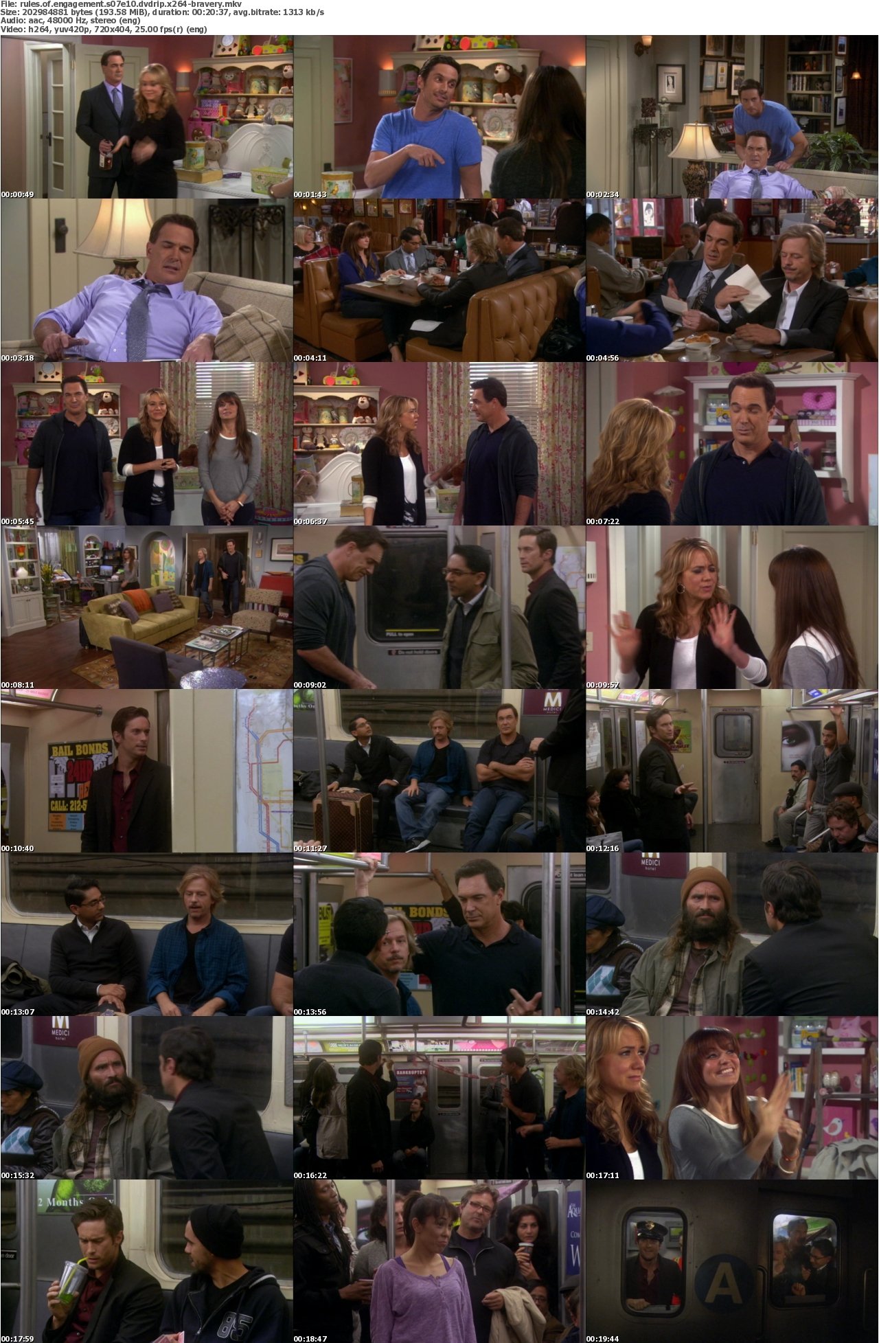 Rules of Engagement S07E10 DVDRip x264-BRAVERY