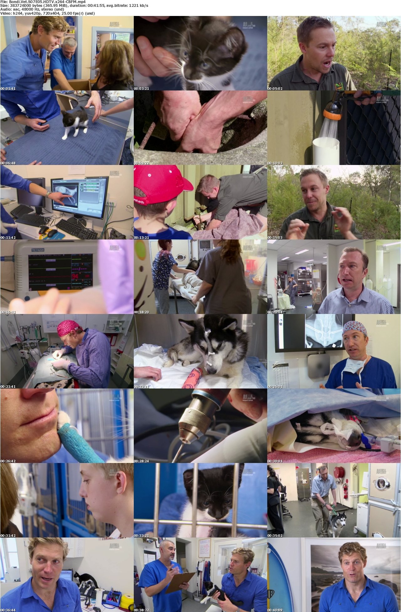Bondi Vet S07E05 HDTV x264-CBFM