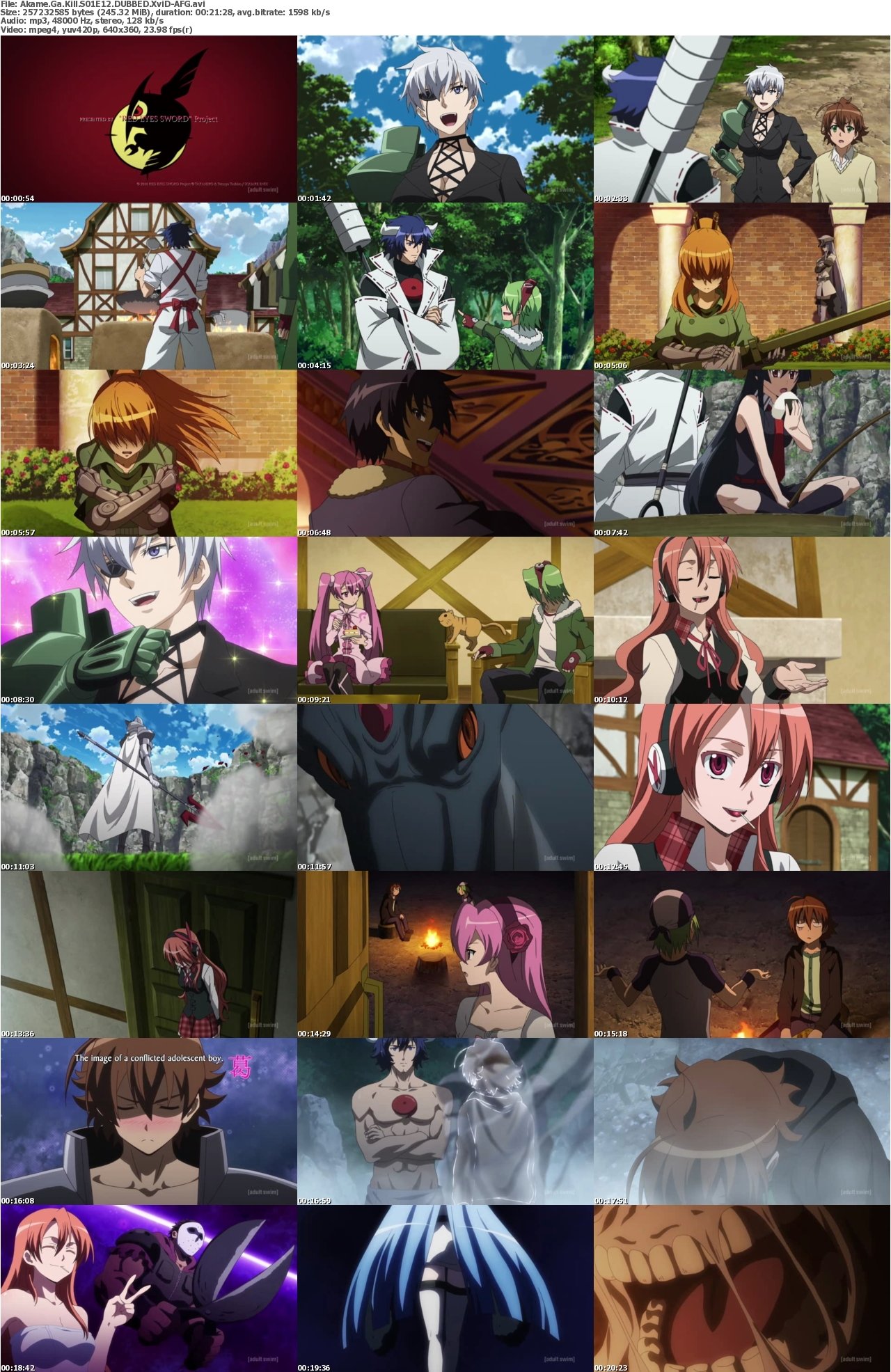 Akame Ga Kill S01E12 DUBBED XviD-AFG