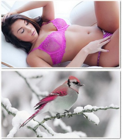 Wallpapers on a desktop 796
